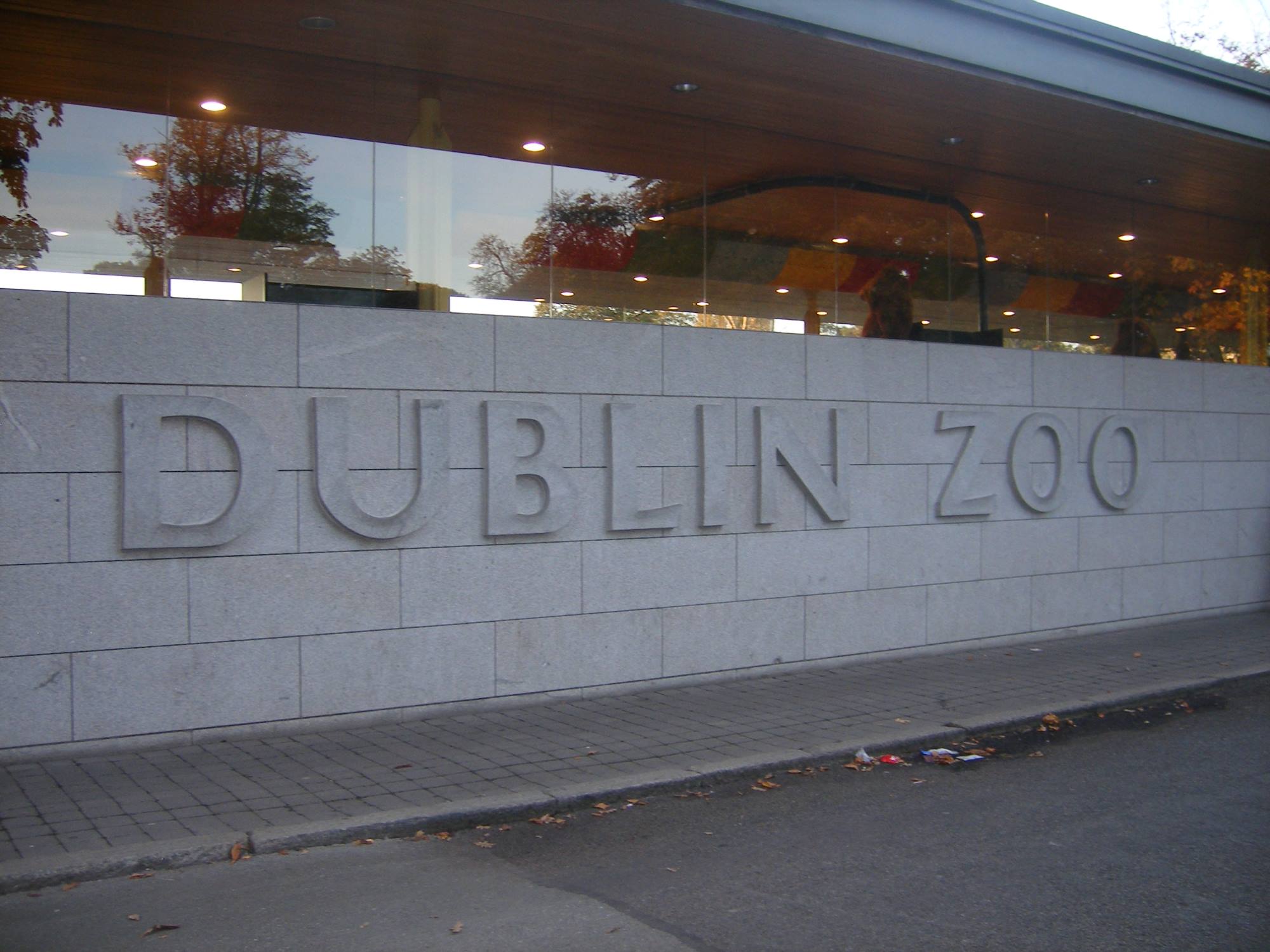 15-captivating-facts-about-dublin-zoo