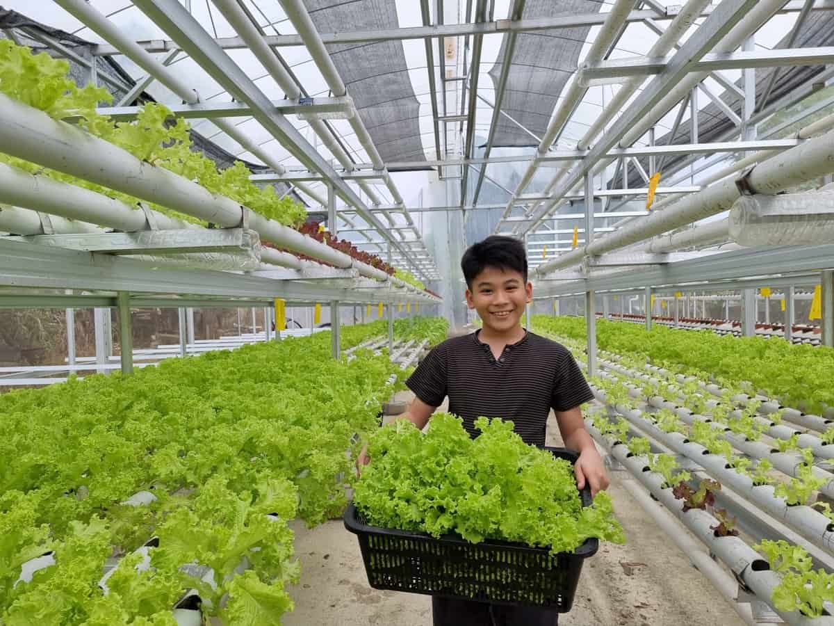 15-captivating-facts-about-hydroponic-farmer