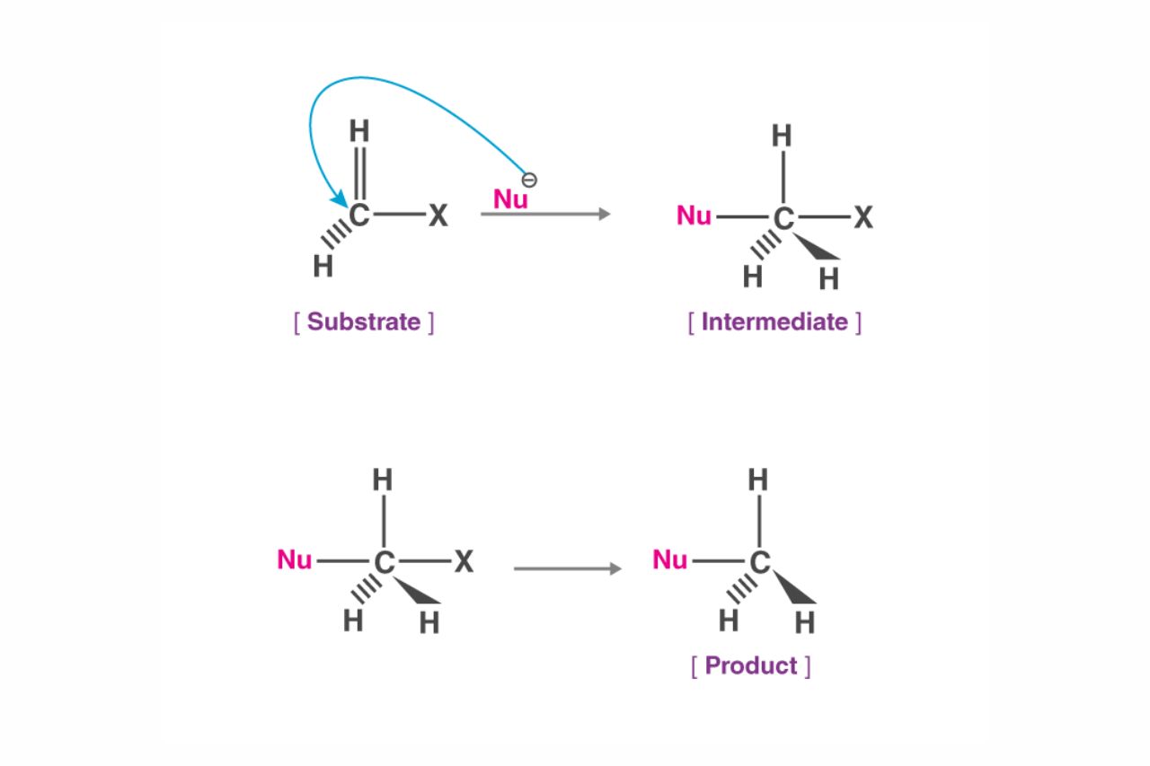 15-captivating-facts-about-nucleophilic-substitution