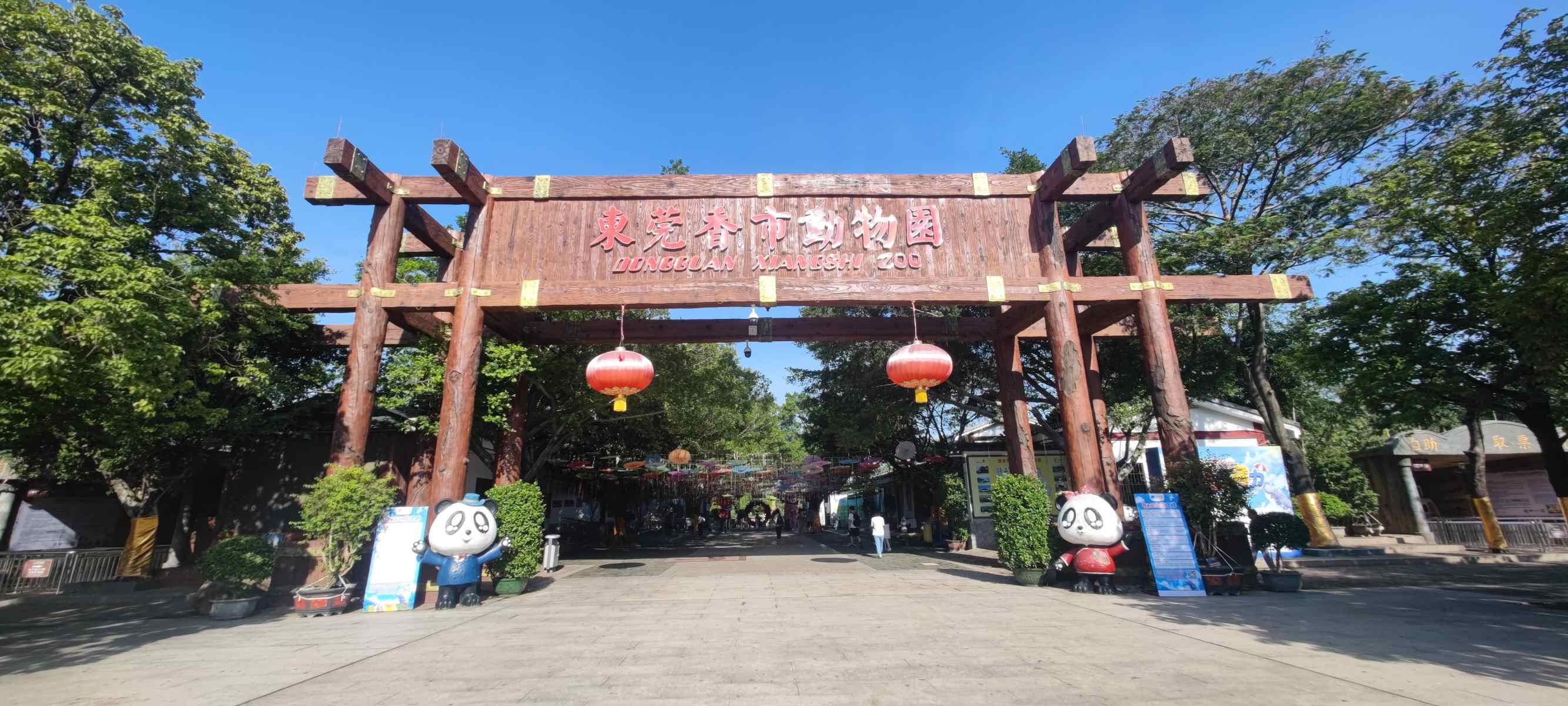 15-enigmatic-facts-about-dongguan-xiangshi-zoo