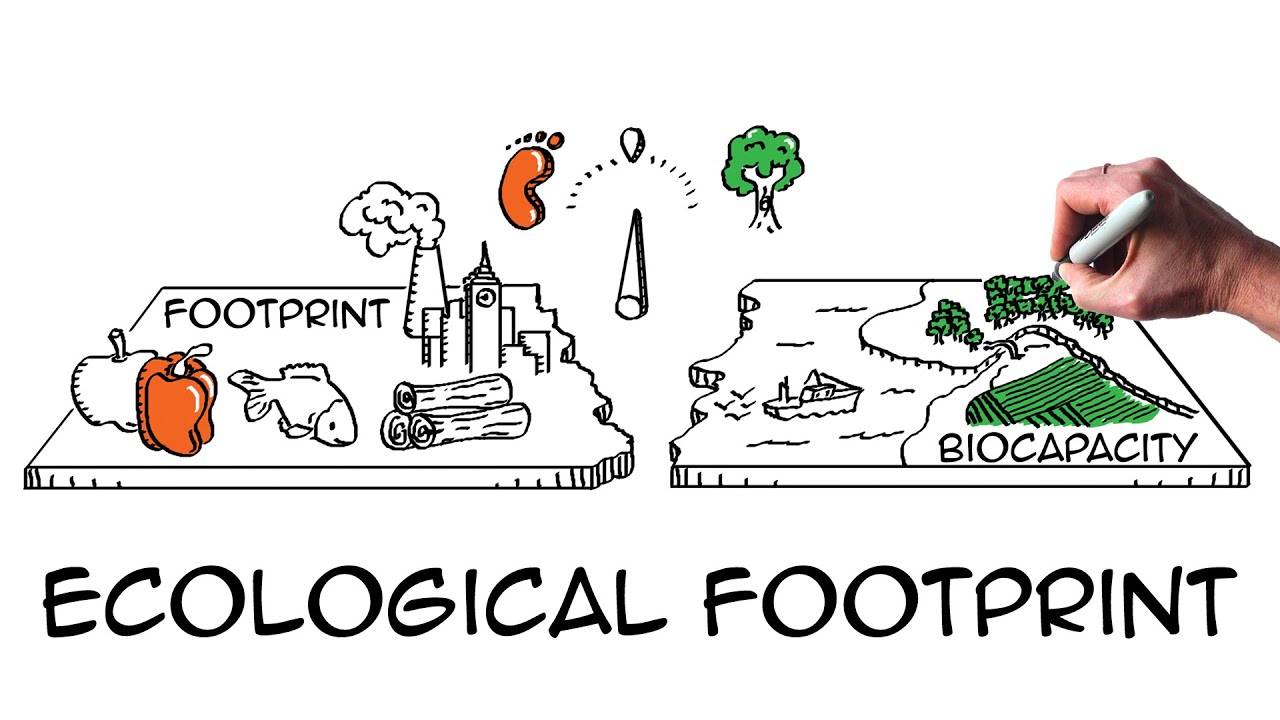 15-enigmatic-facts-about-ecological-footprint