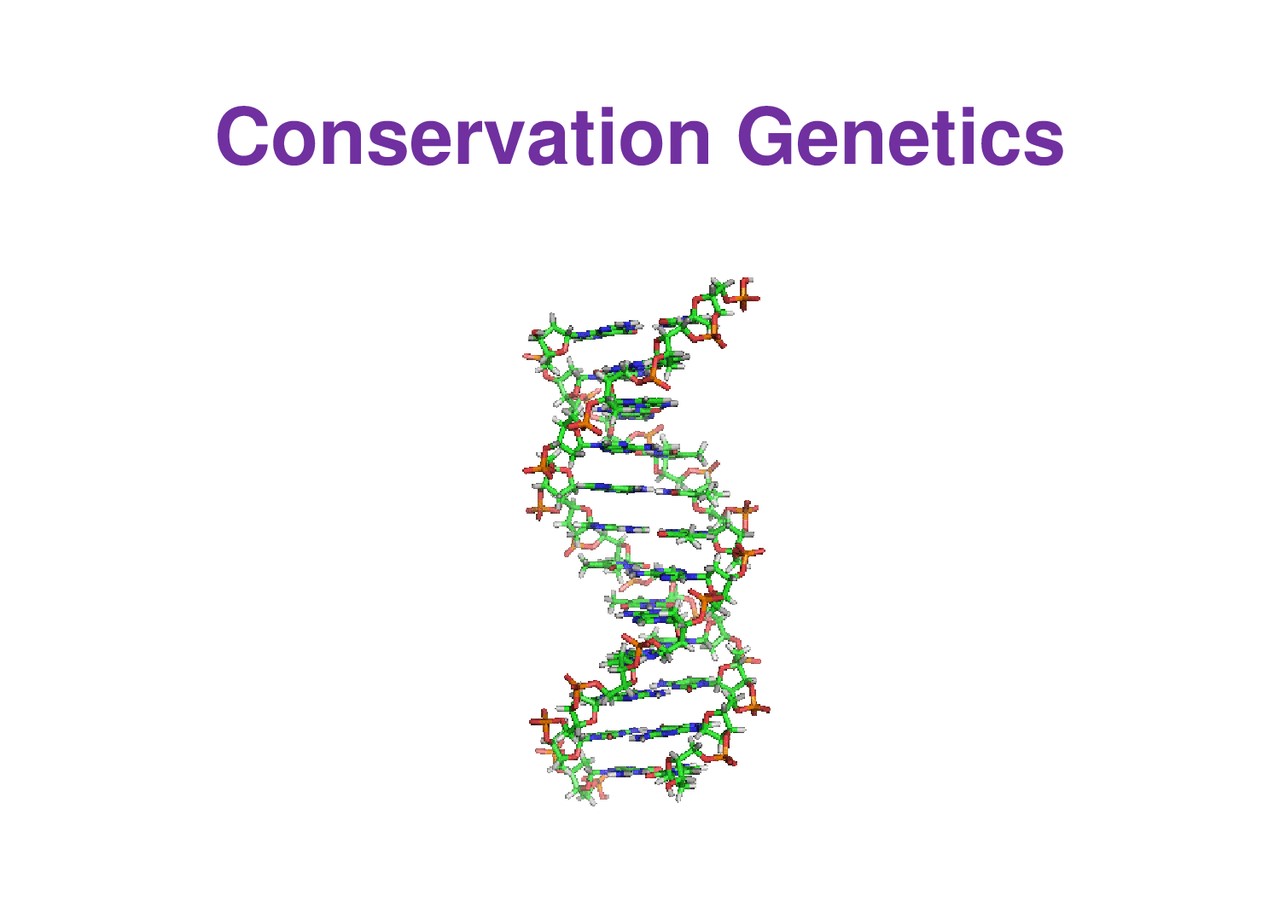 15-extraordinary-facts-about-conservation-genetics