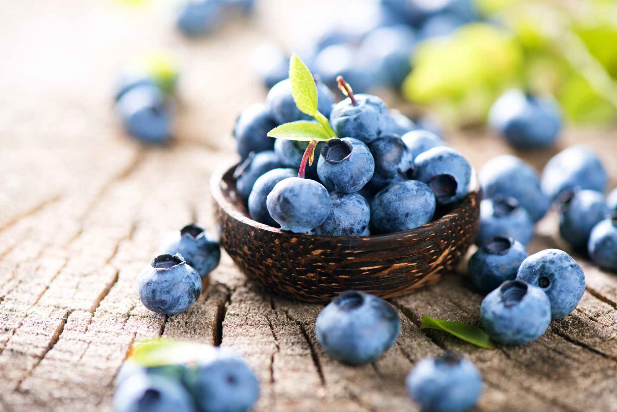 15-facts-about-blueberries