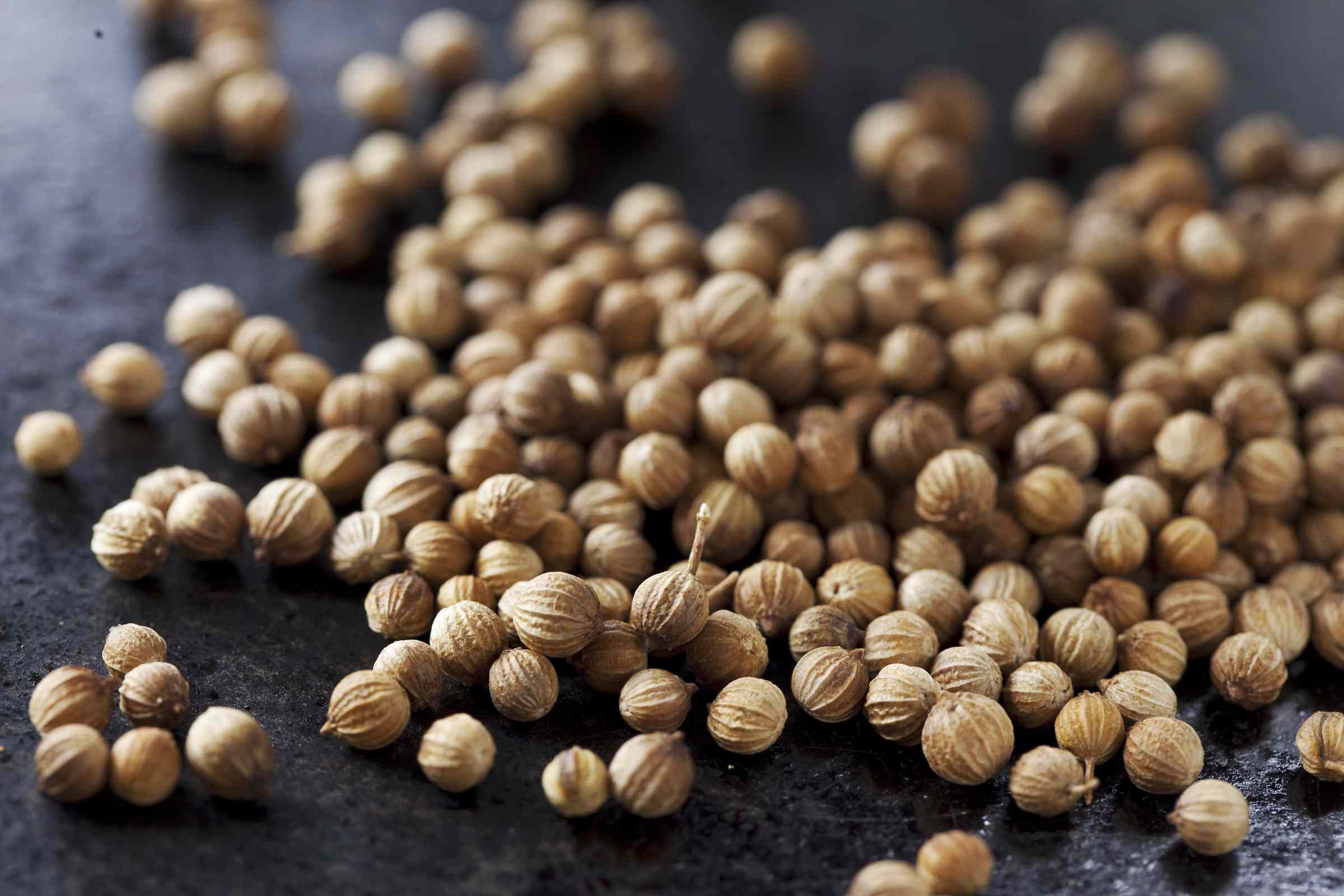 15-facts-about-coriander-seed