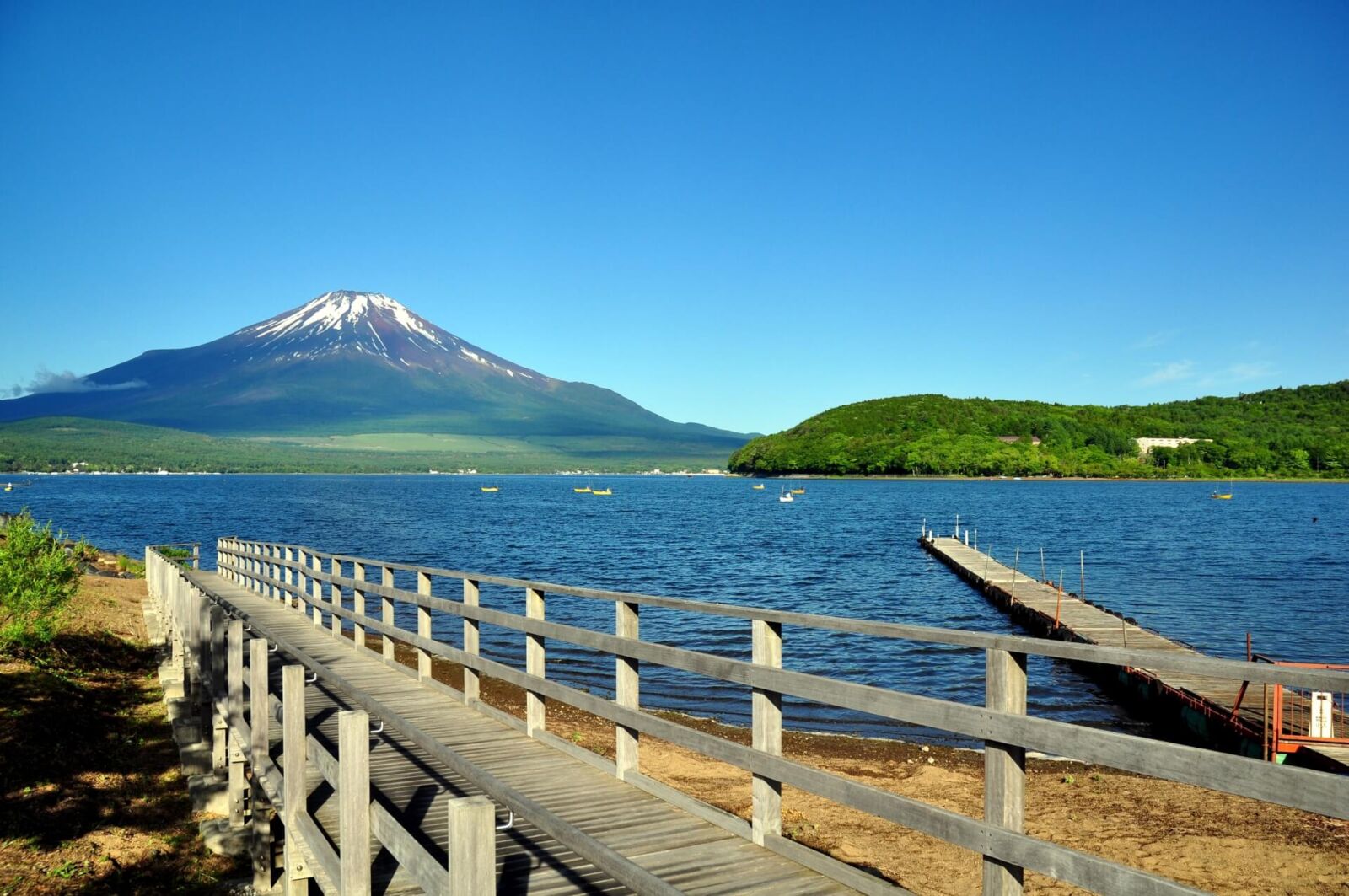 15-intriguing-facts-about-lake-yamanaka