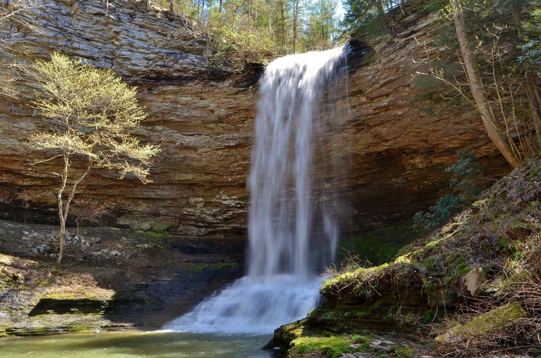15-intriguing-facts-about-piney-falls