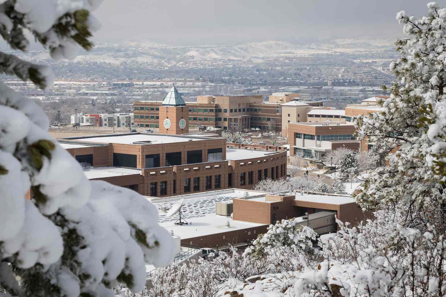 15 Intriguing Facts About University Of Colorado Colorado Springs (UCCS ...