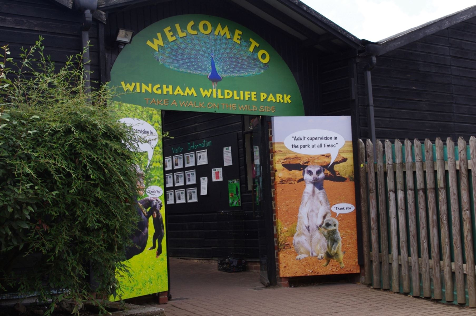 15-intriguing-facts-about-wingham-wildlife-park