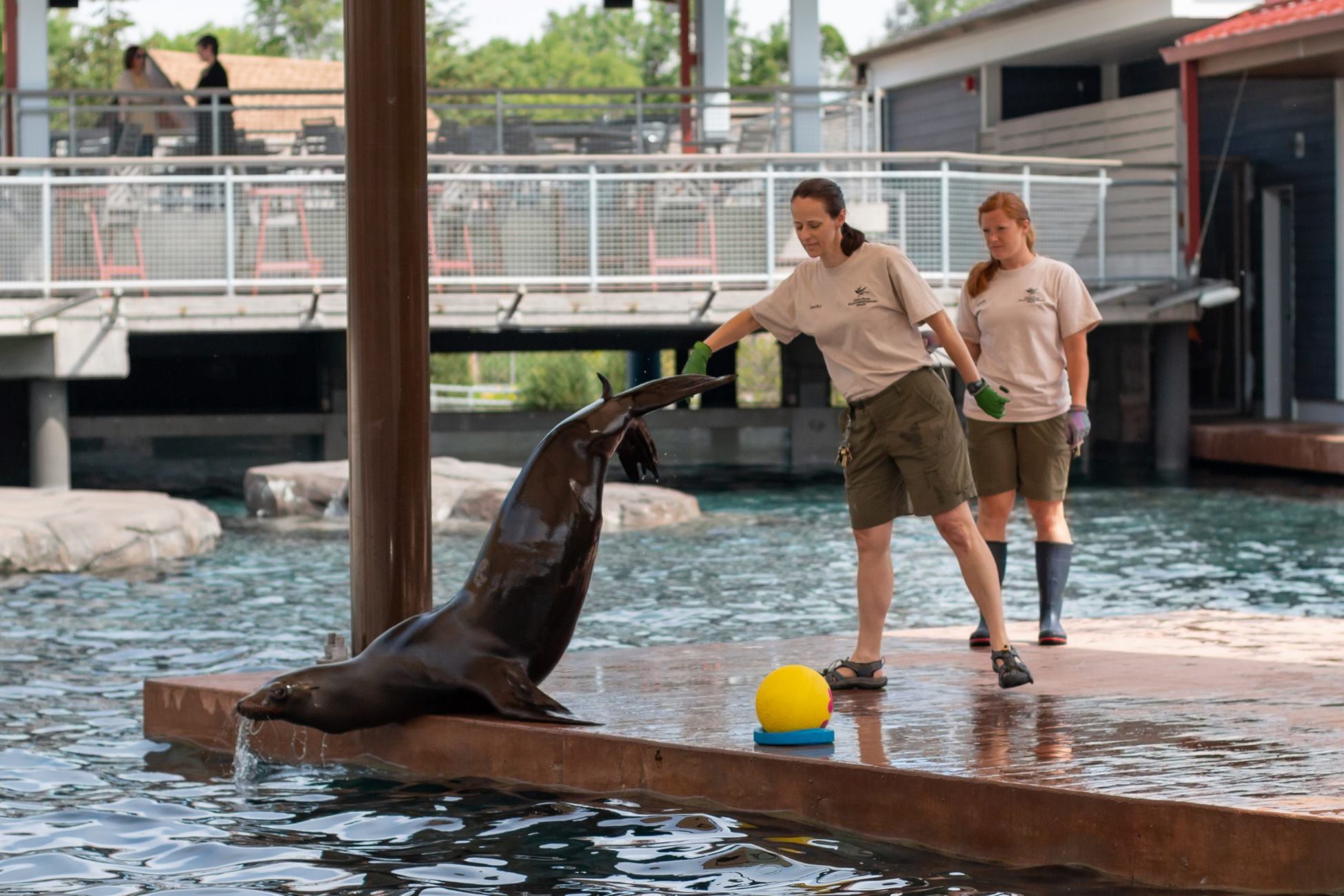 15-surprising-facts-about-como-park-zoo-conservatory