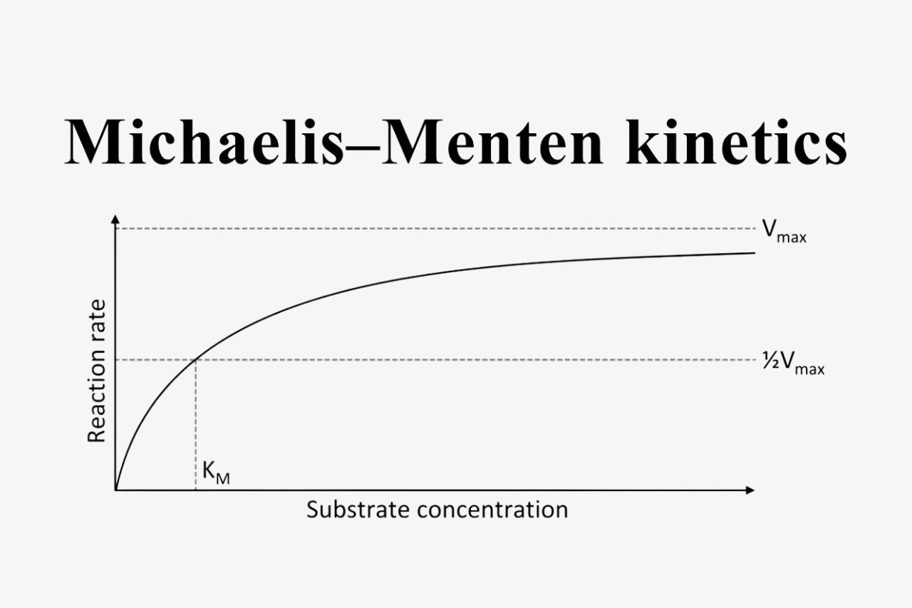 15-surprising-facts-about-michaelis-menten-kinetics