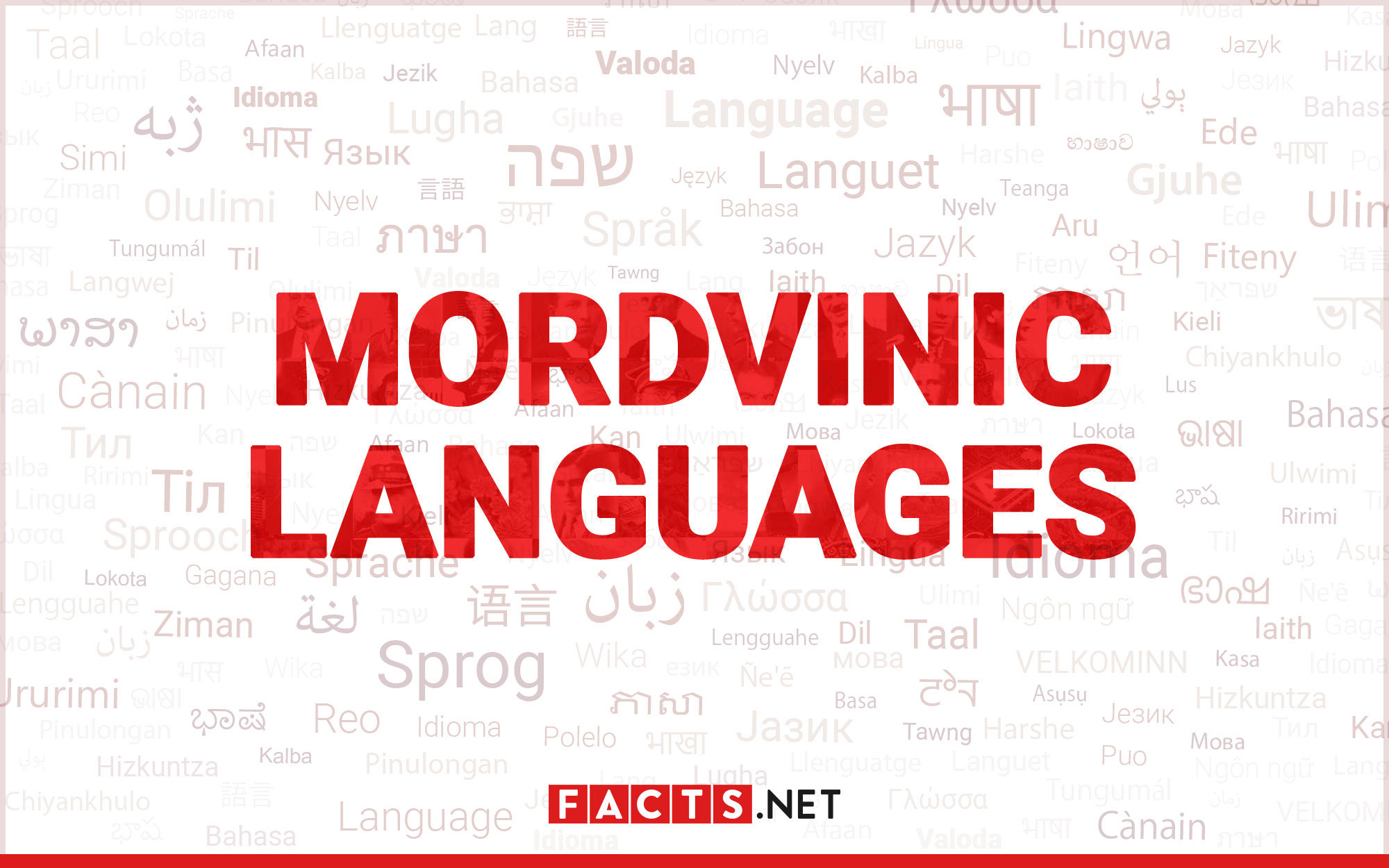 15-surprising-facts-about-mordvinic-languages
