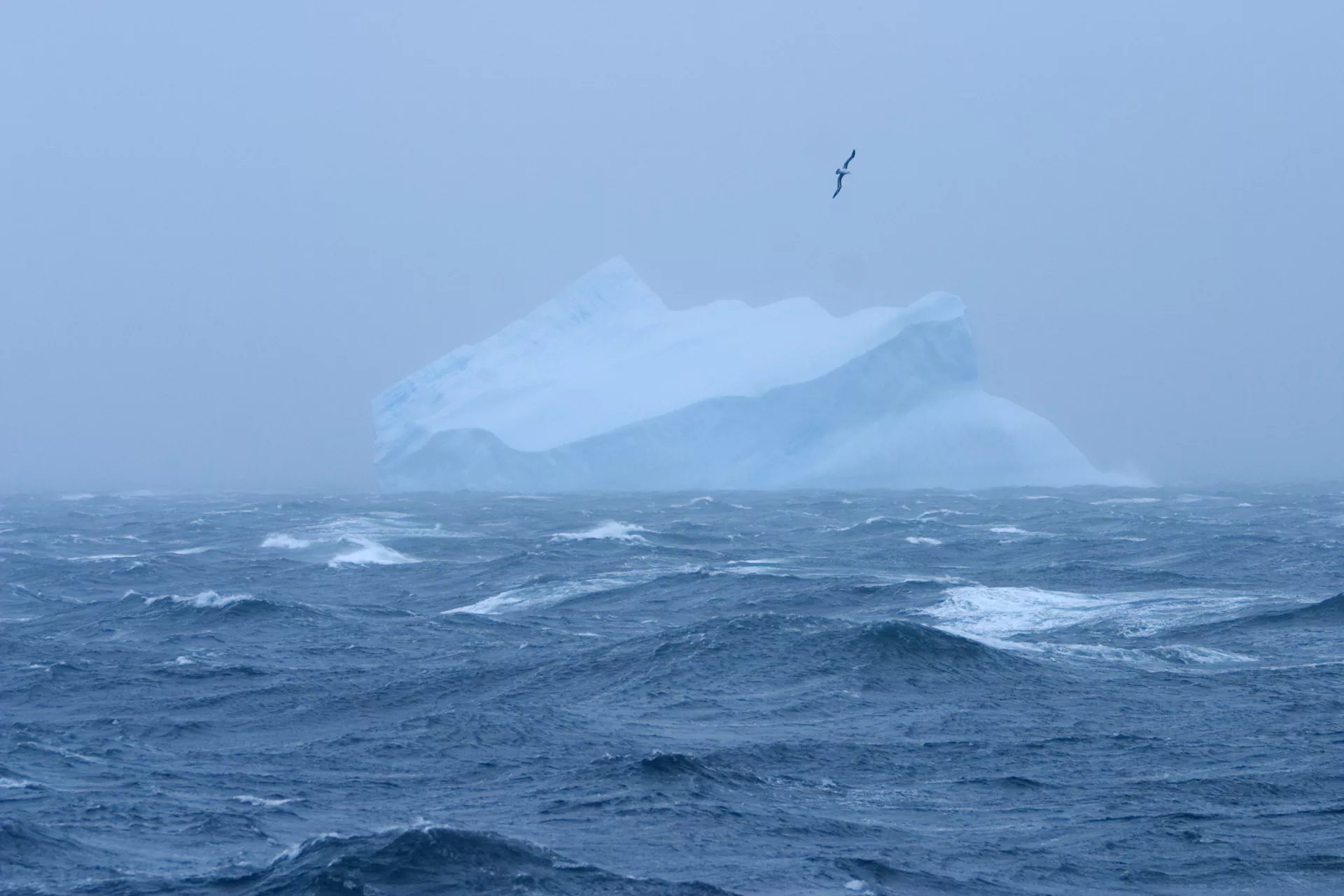 15-surprising-facts-about-southern-ocean