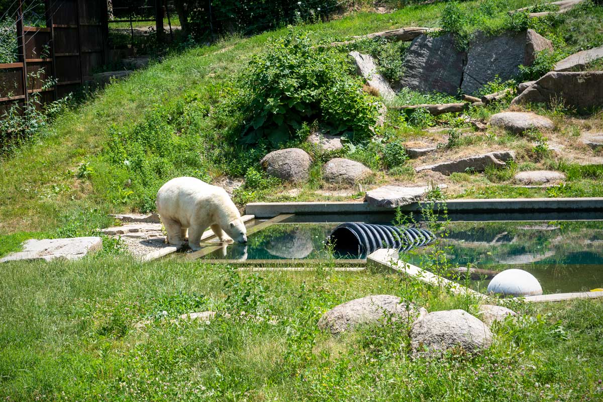 15-surprising-facts-about-zoo-de-mulhouse