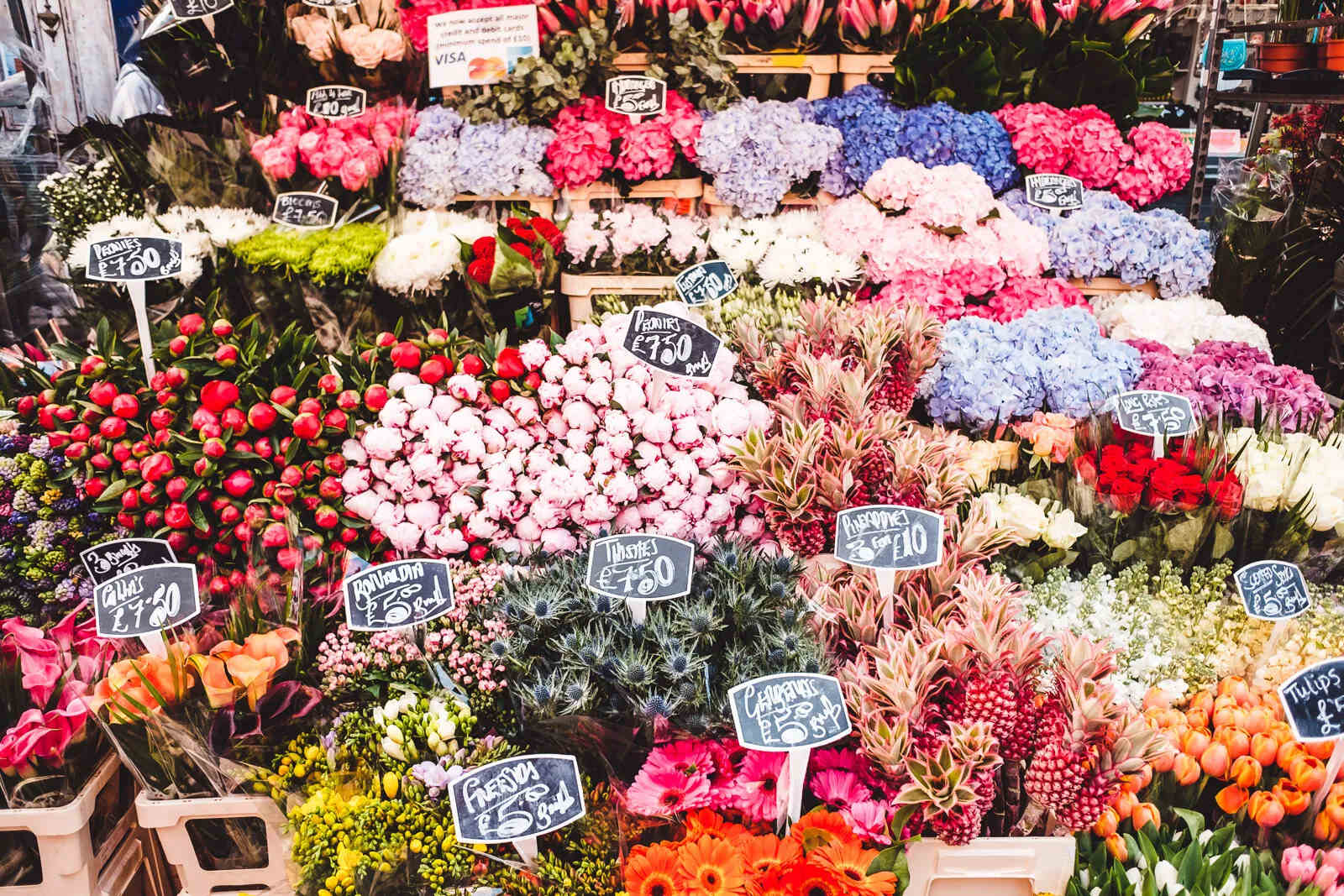 15-unbelievable-facts-about-columbia-road-flower-market-london