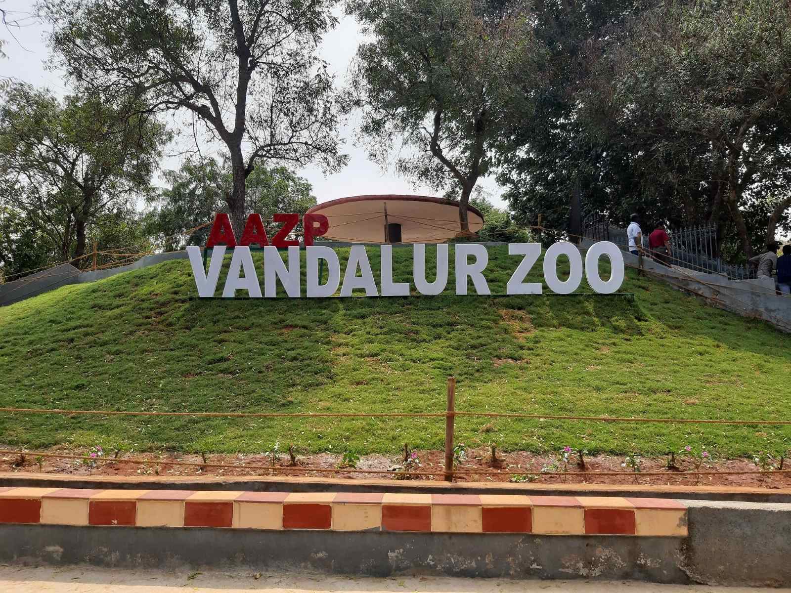 15-unbelievable-facts-about-vandalur-zoo