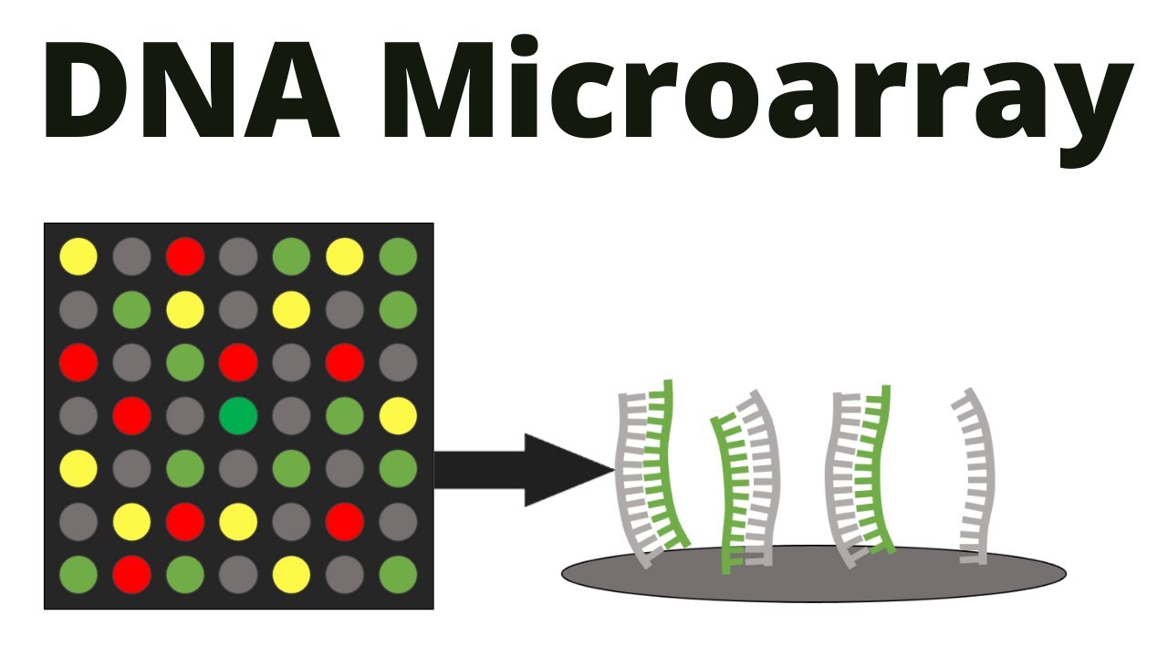 16-astonishing-facts-about-dna-microarray