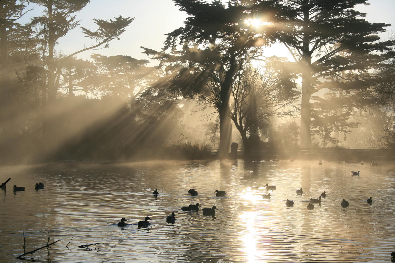 16-astonishing-facts-about-stow-lake