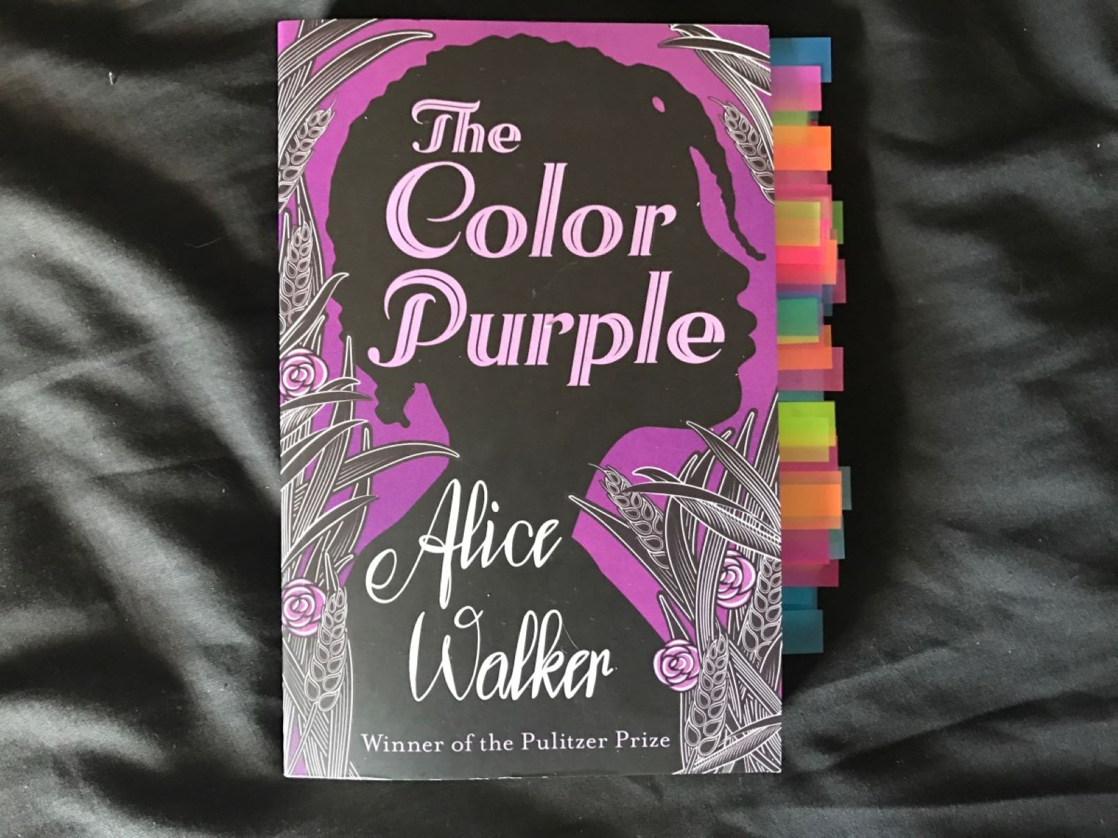 16-astonishing-facts-about-the-color-purple-alice-walker