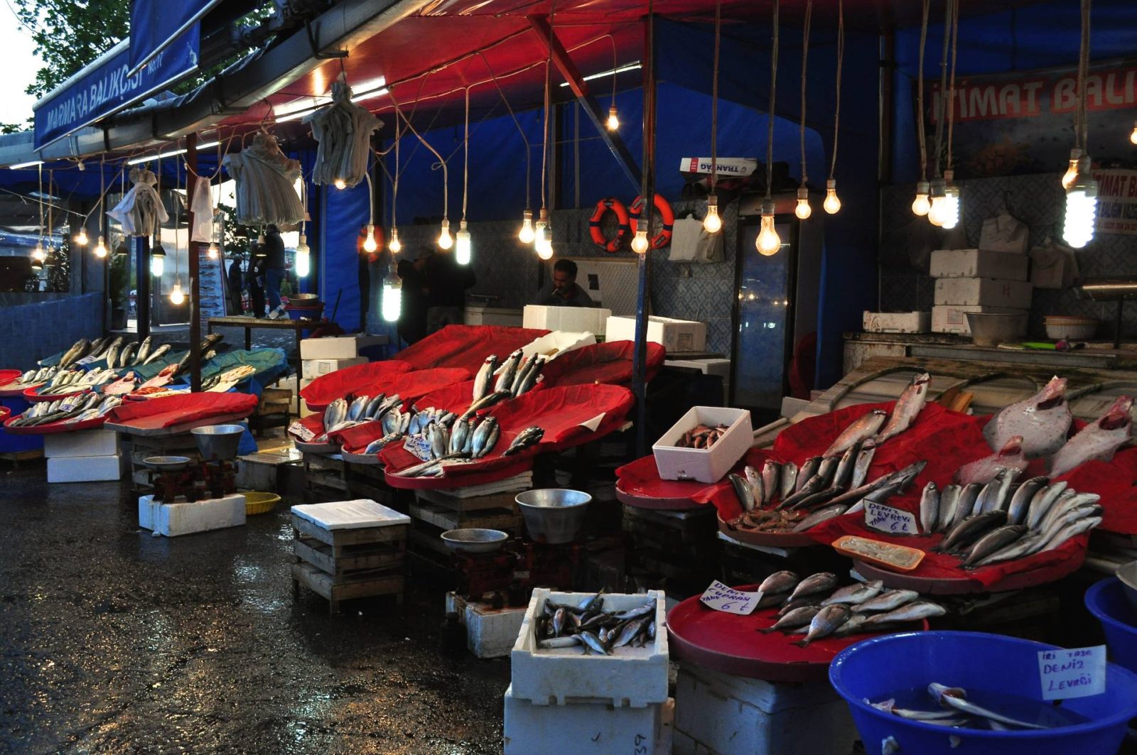 16-astounding-facts-about-karakoy-fish-market-istanbul