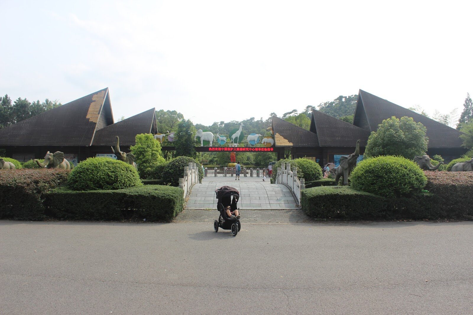 16-astounding-facts-about-ningbo-youngor-zoo