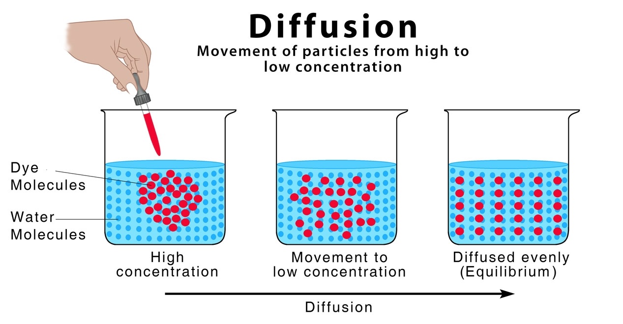 16-captivating-facts-about-self-diffusion