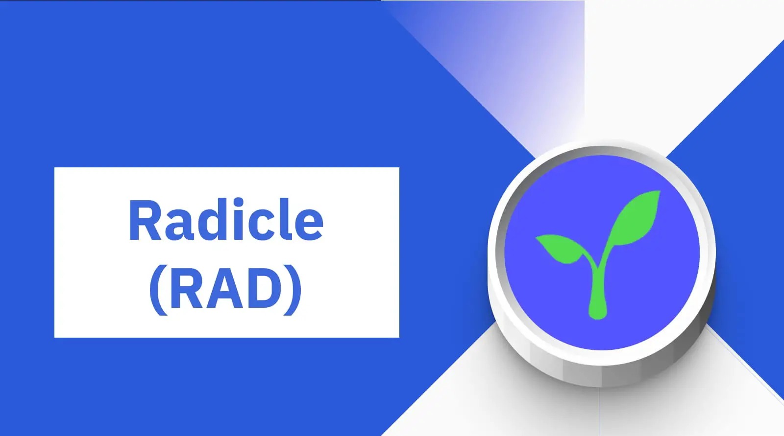 16-enigmatic-facts-about-radicle-rad
