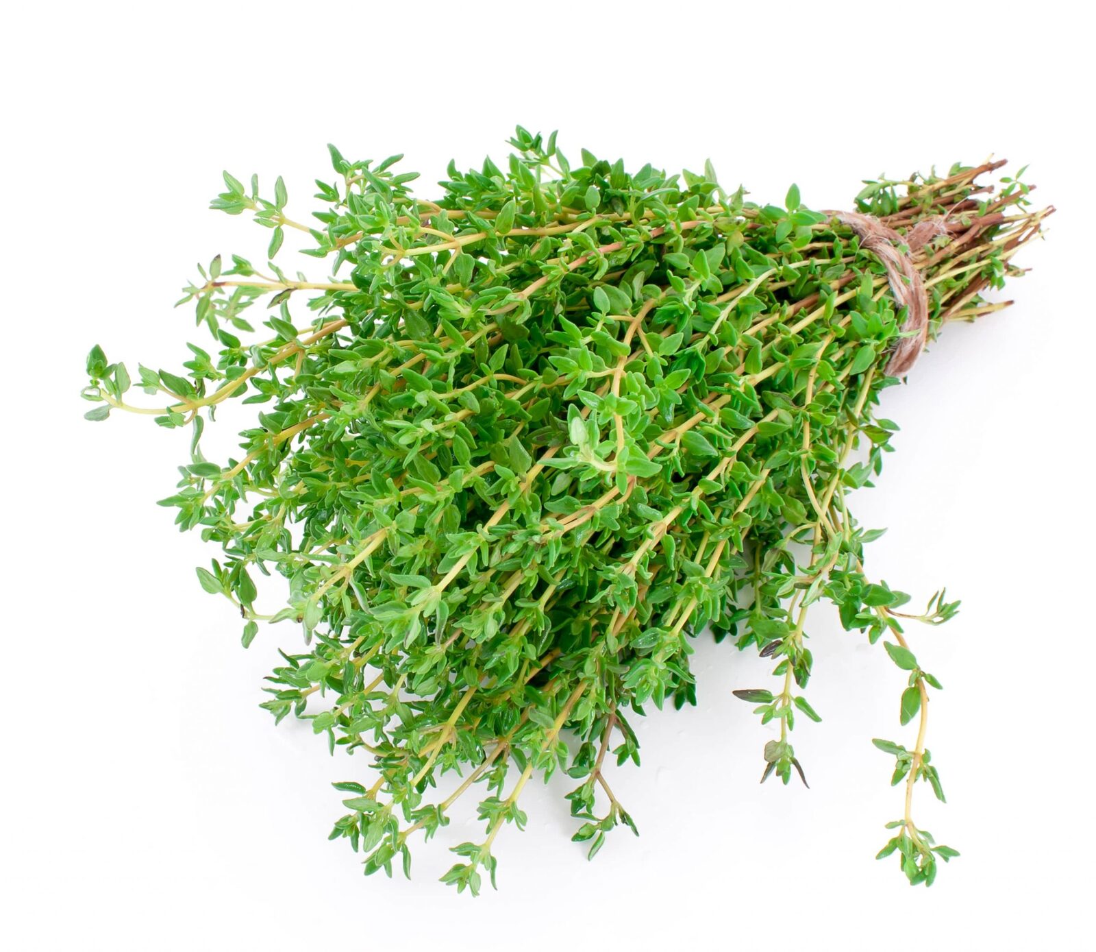 16-enigmatic-facts-about-thyme