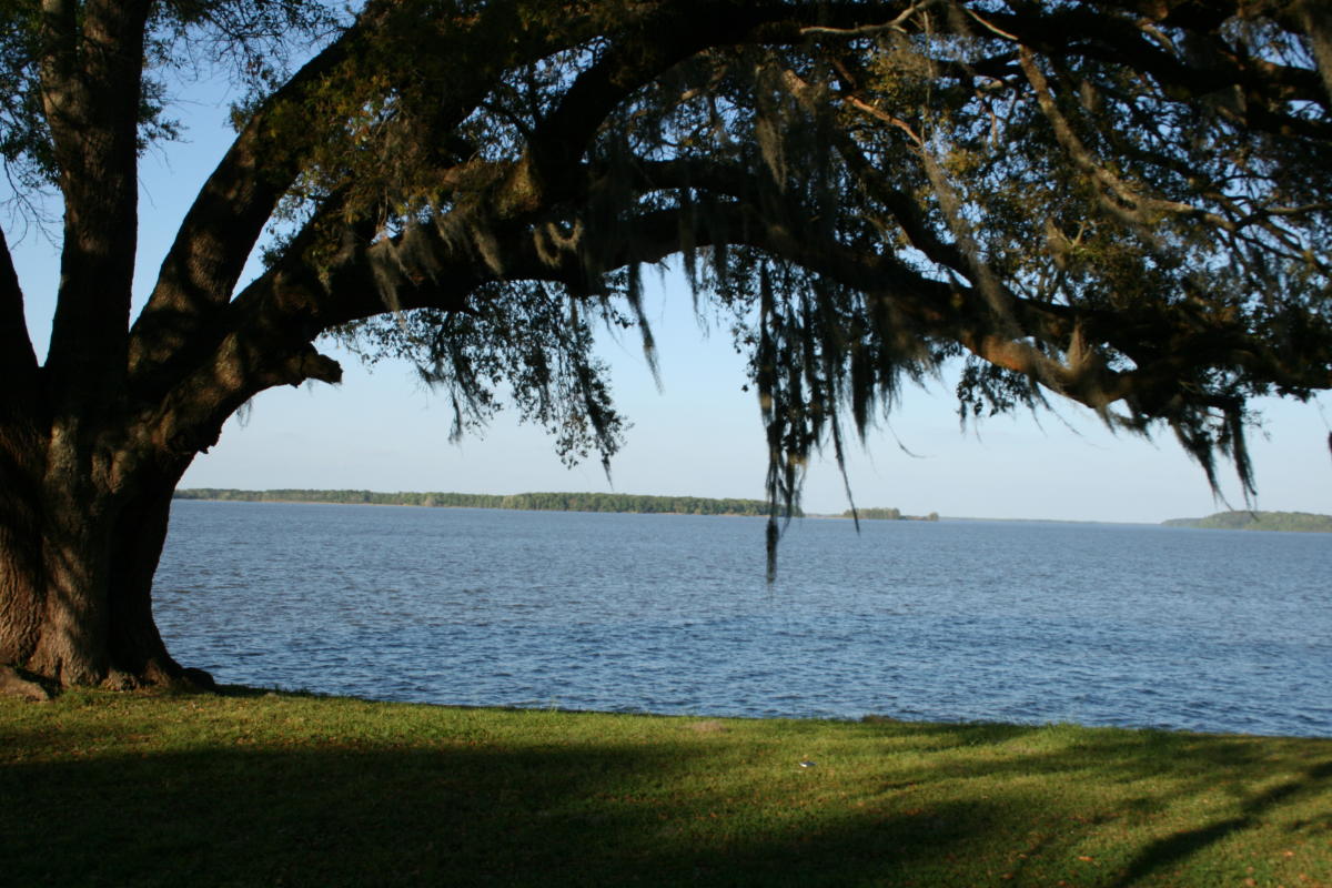 16-extraordinary-facts-about-lake-seminole