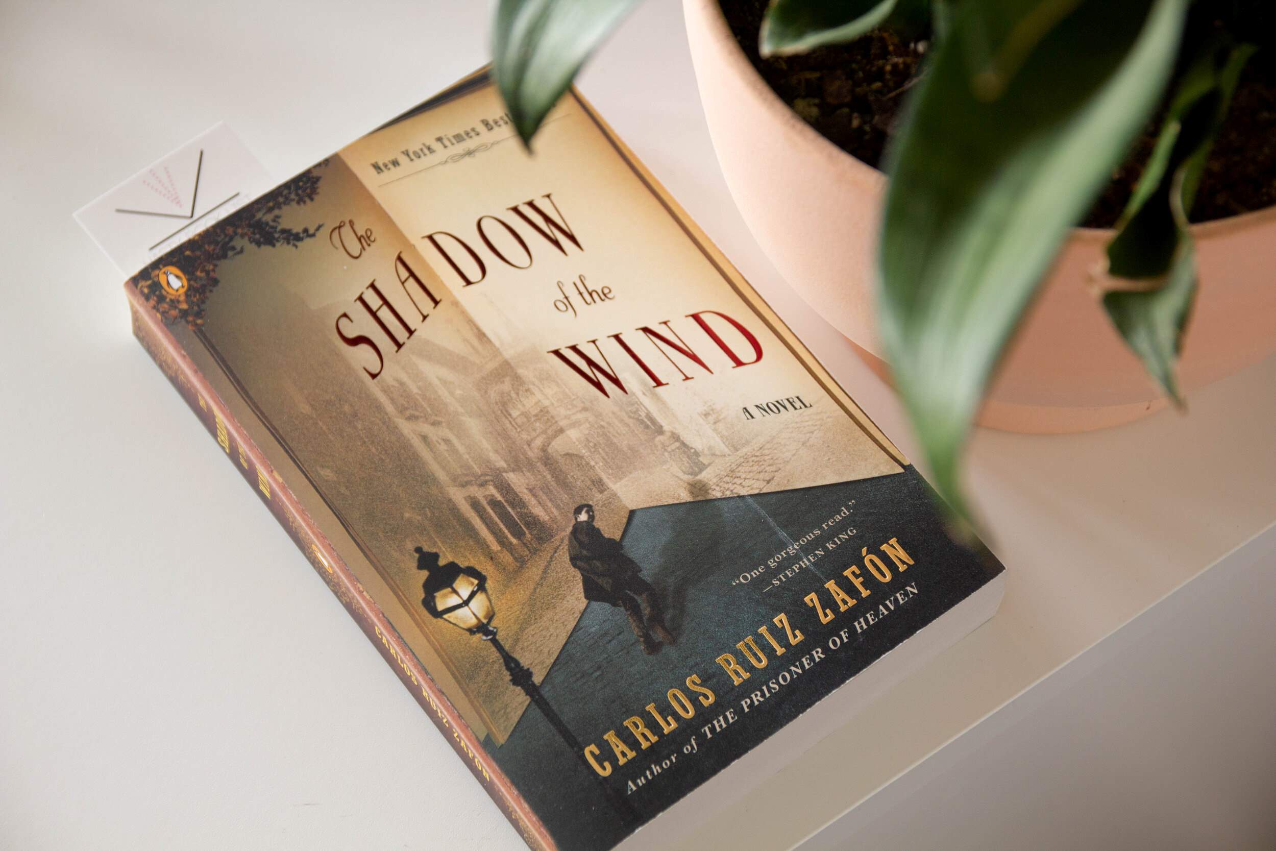 16-extraordinary-facts-about-the-shadow-of-the-wind-carlos-ruiz-zafon