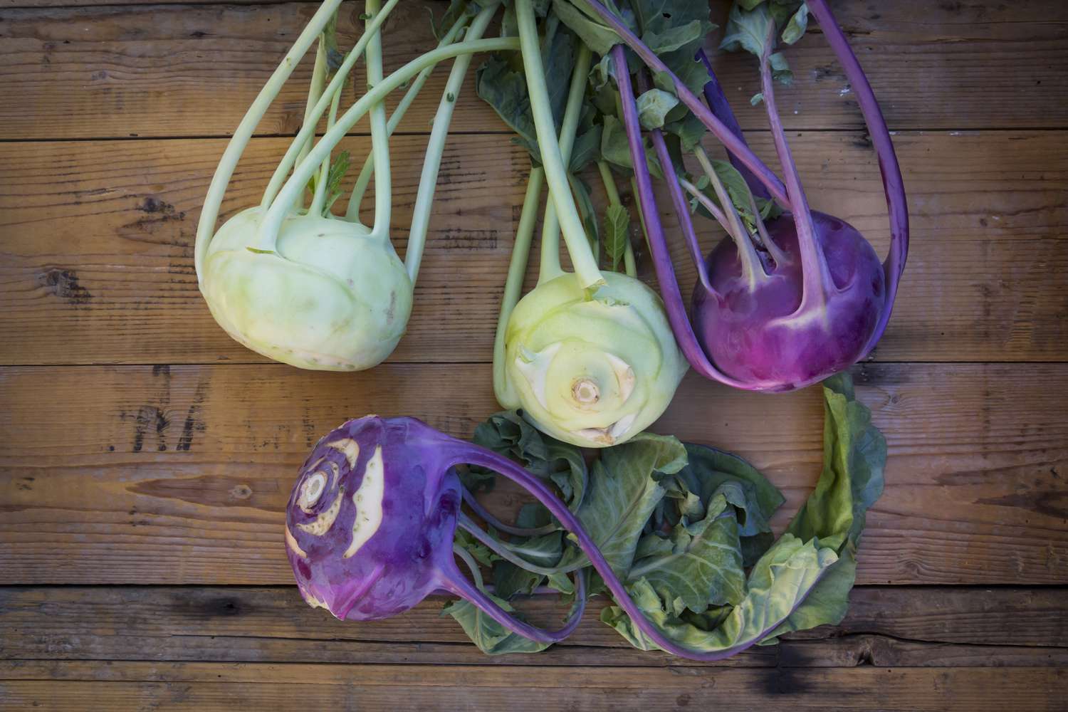 16-facts-about-kohlrabi