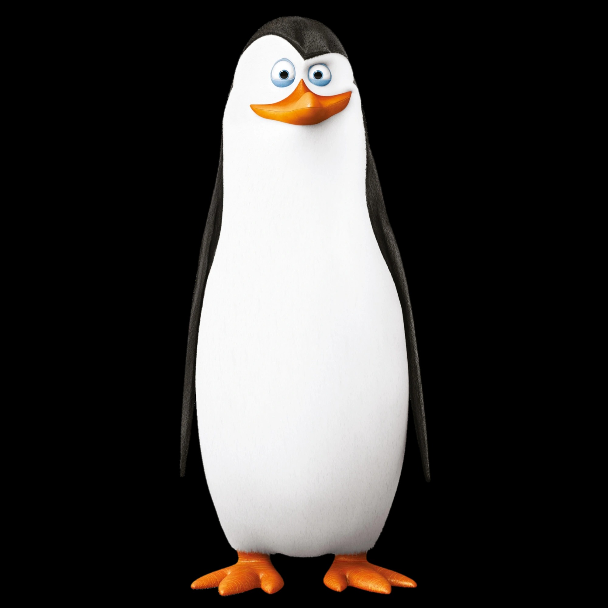 16-facts-about-kowalski-penguins-of-madagascar