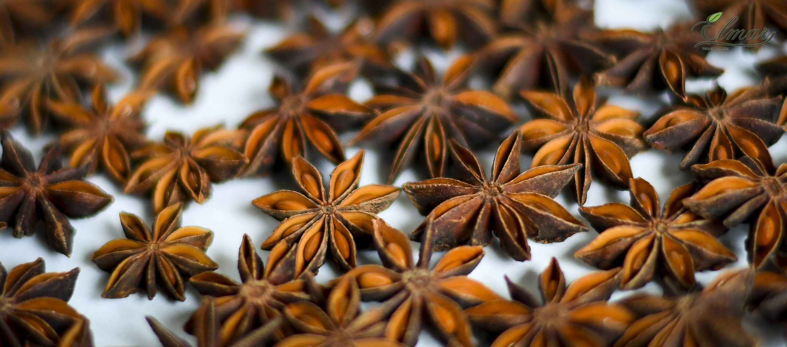 16-facts-about-star-anise