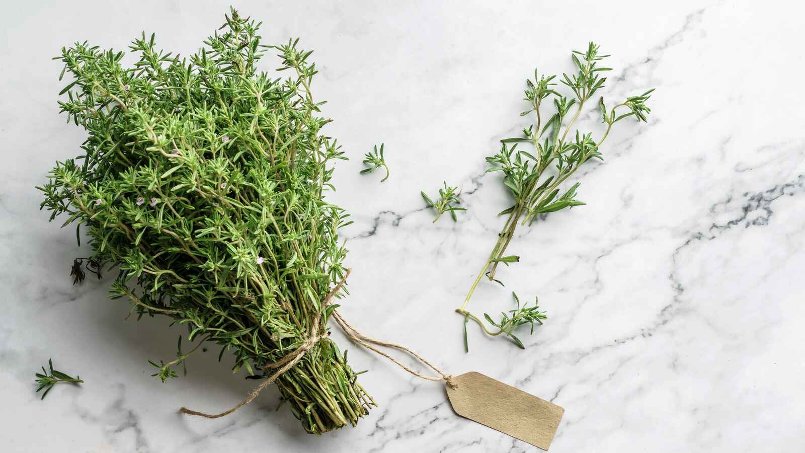 16-facts-about-thyme