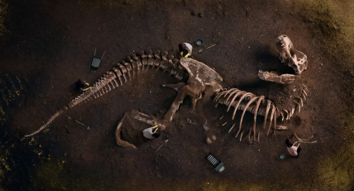 16-fascinating-facts-about-fossil-record