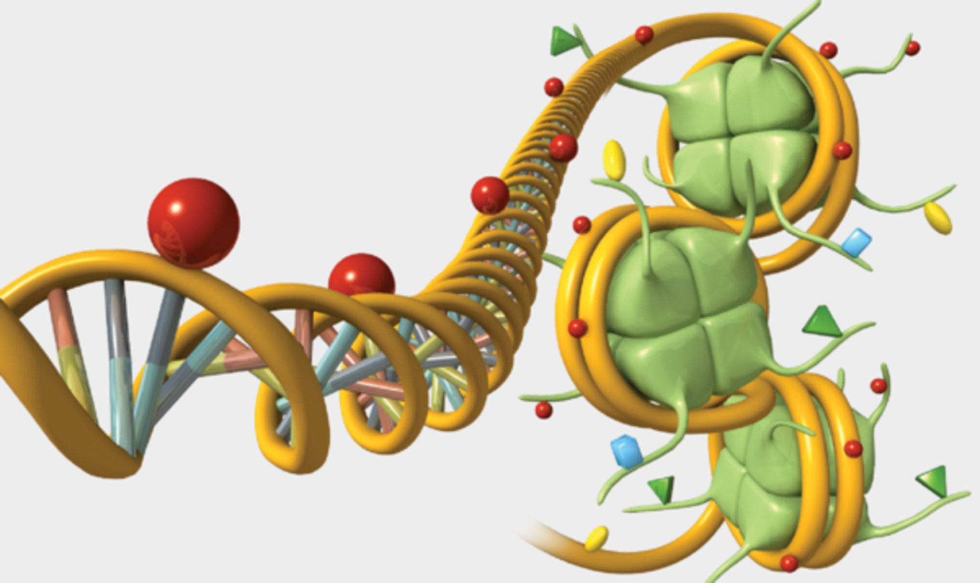 16-fascinating-facts-about-gene-regulation-networks