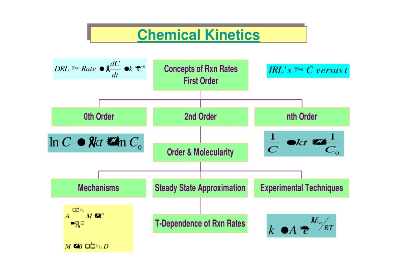 16-fascinating-facts-about-kinetics