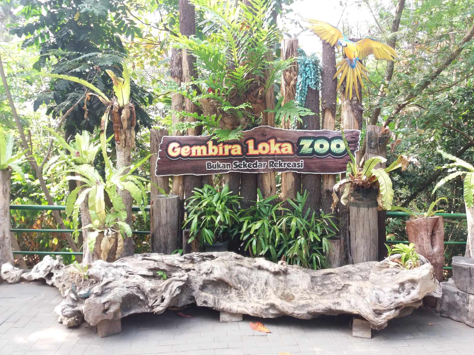 16-intriguing-facts-about-gembira-loka-zoo