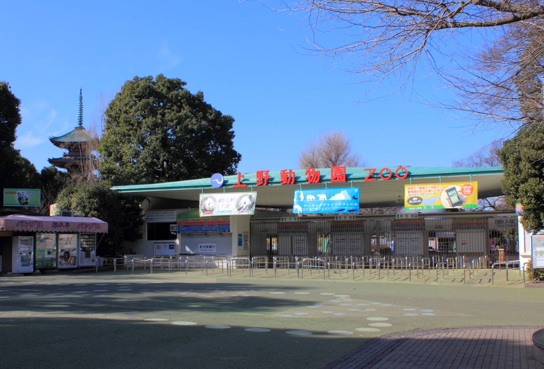 16-mind-blowing-facts-about-ueno-zoo