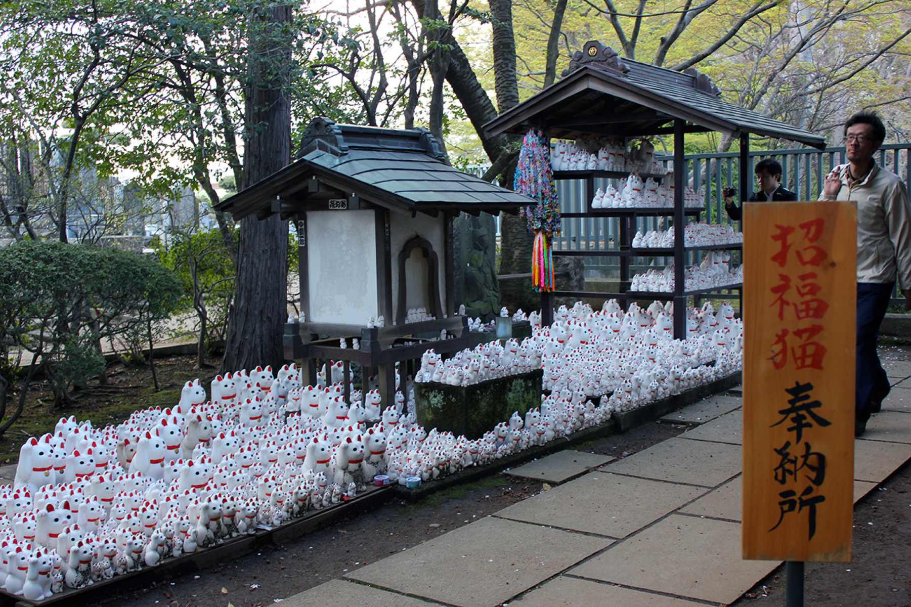16-surprising-facts-about-gotokuji-temple