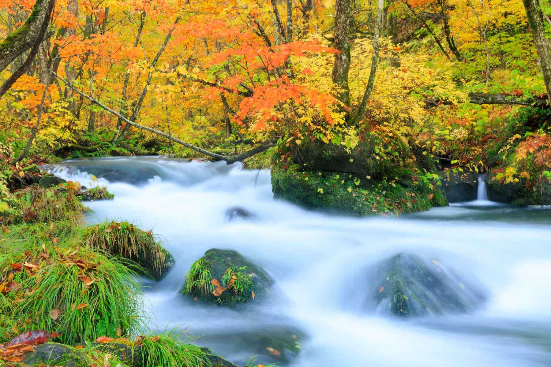 12 Mind-blowing Facts About Multnomah Falls 