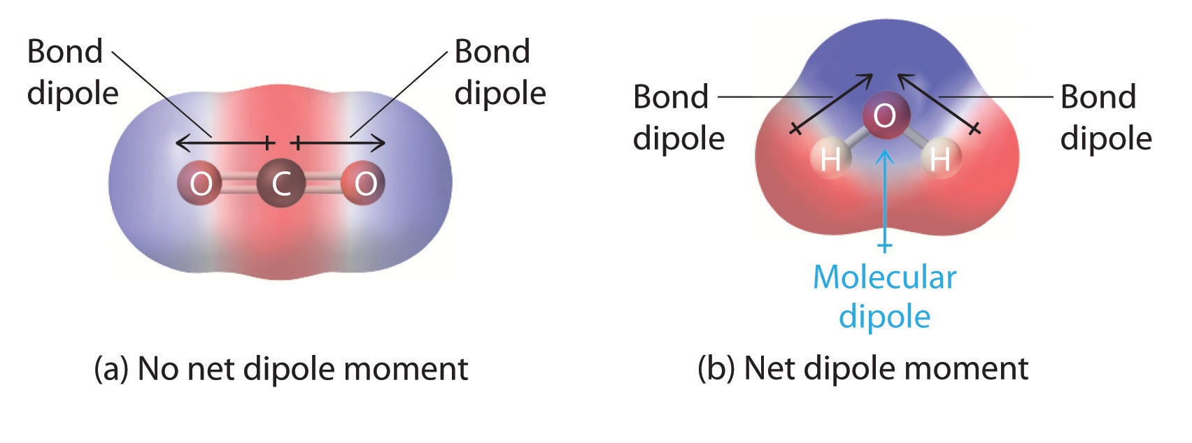 17-astounding-facts-about-polarity