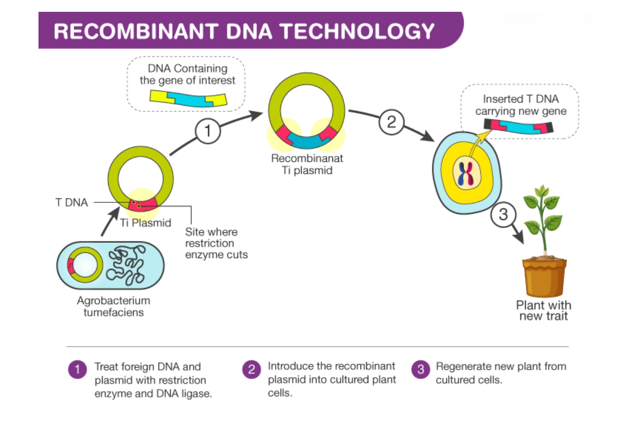 17-astounding-facts-about-recombinant-dna-technology