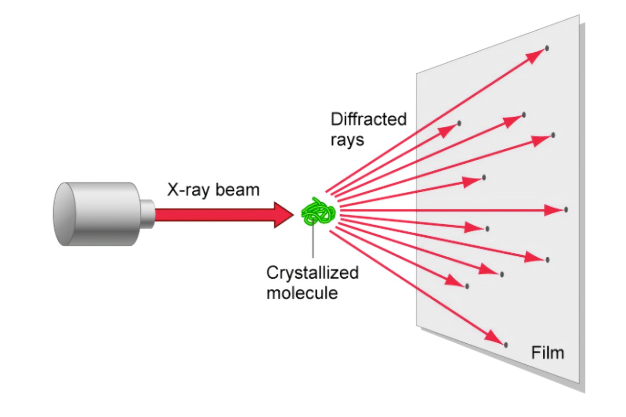 17-astounding-facts-about-x-ray-crystallography