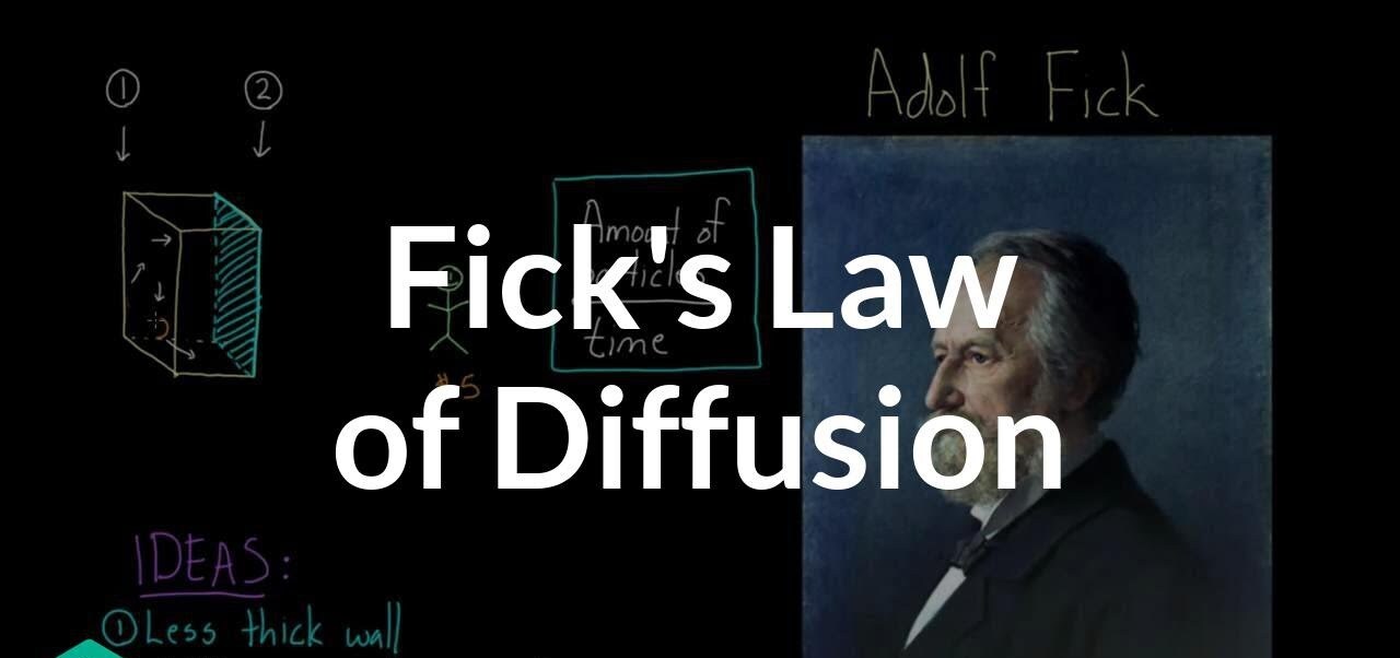 17-captivating-facts-about-ficks-laws-of-diffusion