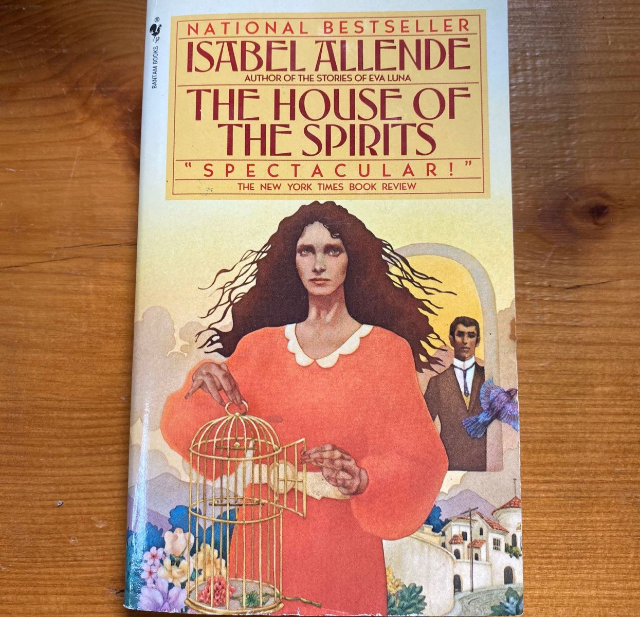 17-captivating-facts-about-the-house-of-the-spirits-isabel-allende