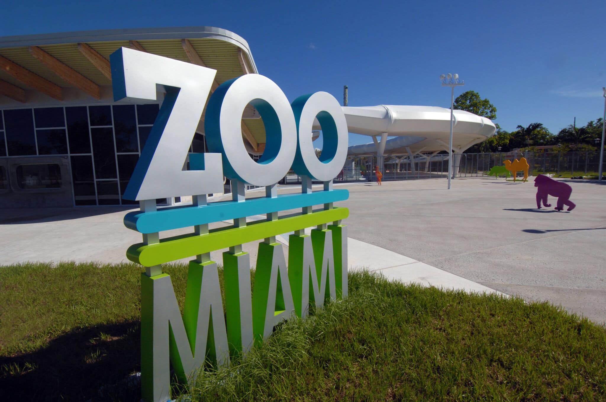 17-captivating-facts-about-zoo-miami