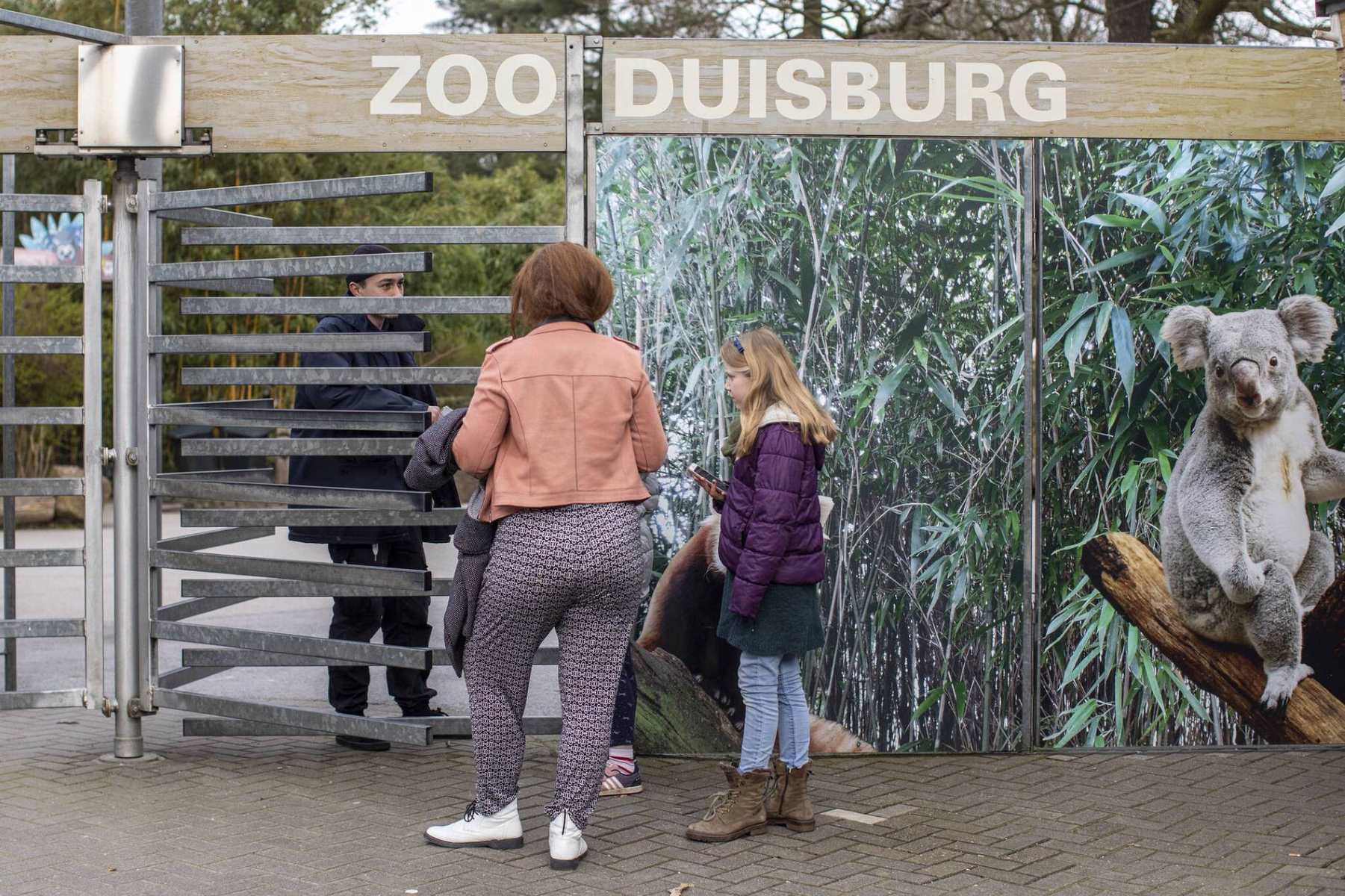 17-extraordinary-facts-about-duisburg-zoo