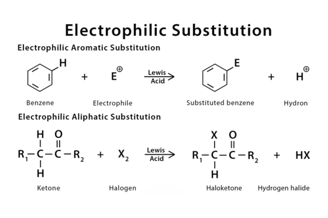 17-extraordinary-facts-about-electrophilic-substitution