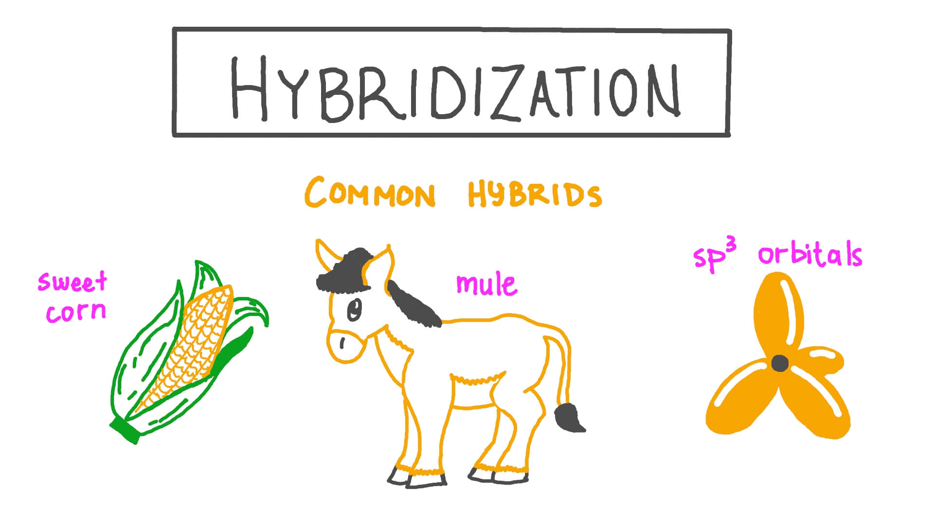 17-extraordinary-facts-about-hybridization
