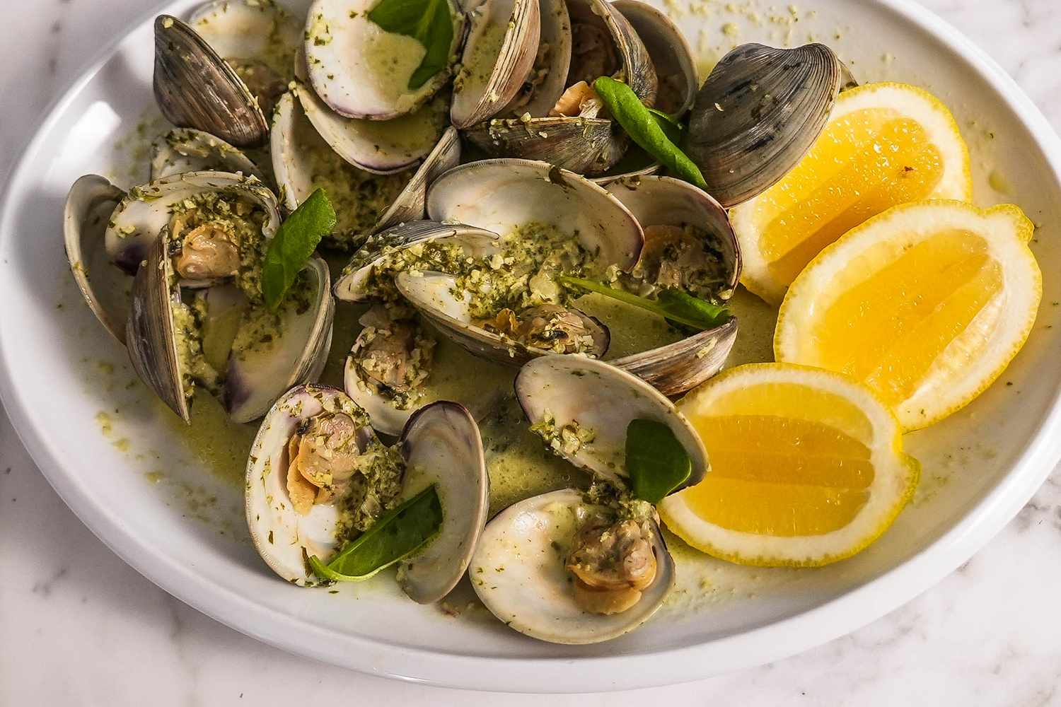 17-facts-about-clams